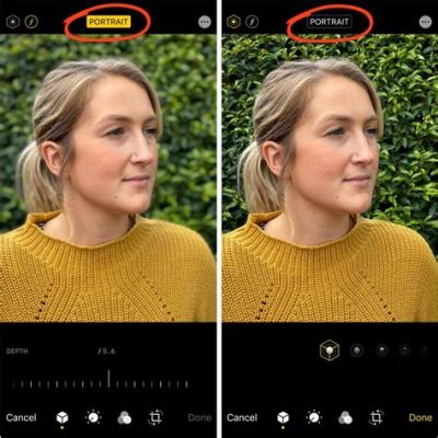 iphone ポートレート ズームできない：なぜか写真がぼやける理由